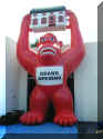 gorilla-red-25-house-110603.jpg (40398 bytes)