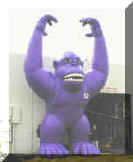 gorilla_new_25_purple1.jpg (9500 bytes)